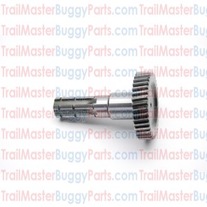 TrailMaster 150 Output Shaft Side 1