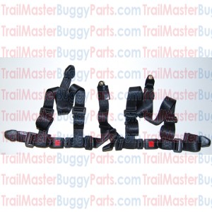 TrailMaster 150 / 300 Seat Belt / Safety Belt