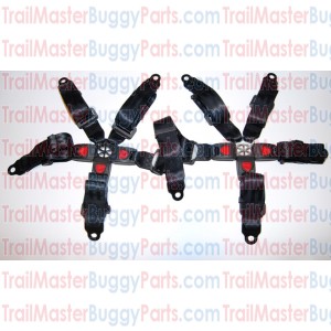 TrailMaster 150 / 300 5 points Seat Belt Comp.