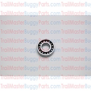 TrailMaster 150 Bearing 6202