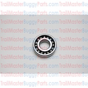 TrailMaster 150 Bearing 6204