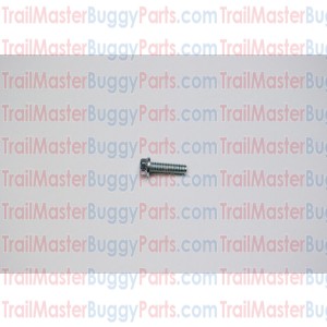 TrailMaster 150 Bolt M6 x 20