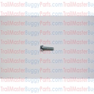 TrailMaster 150 Bolt M6 x 20