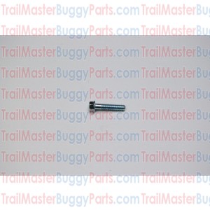 TrailMaster 150 Bolt M6 x 28