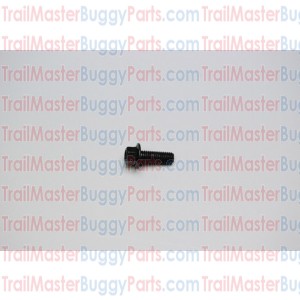 TrailMaster 150 / 300 Flange Bolt M8 x 22