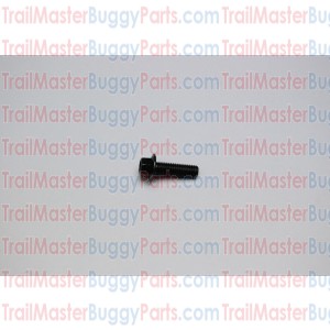 TrailMaster 150 Flange Bolt M8 x 25