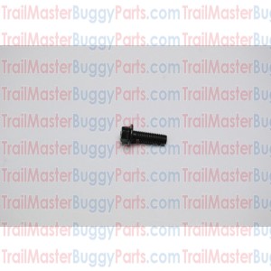 TrailMaster 150 / 300 Flange Bolt M8 x 27