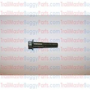 TrailMaster 150 / 300 Socket Bolt M8X1.25X40