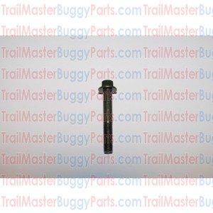 TrailMaster 150 / 300 Socket Bolt M8X1.25X55
