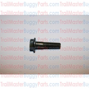 TrailMaster 150 / 300 Bolt Washer M10X1.25X40