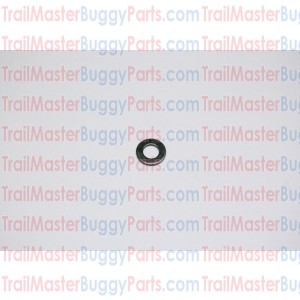 TrailMaster 150 / 300 Flat Washer 10