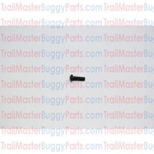 TrailMaster 150 Pan Screw M5 x 15