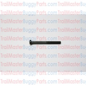 TrailMaster 150 / 300 Pan Screw M6 X 60