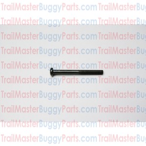 TrailMaster 150 / 300 Pan Screw M6 X 60