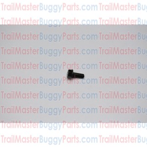 TrailMaster 150 / 300 Flange Bolt M6 X 16