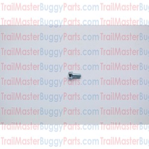 TrailMaster 150 Flange Bolt M6 x 12 Side