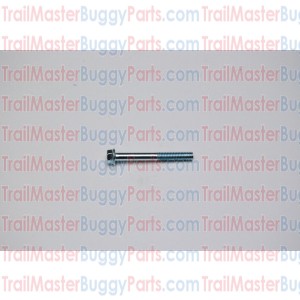 TrailMaster 150 Bolt M6 x 50
