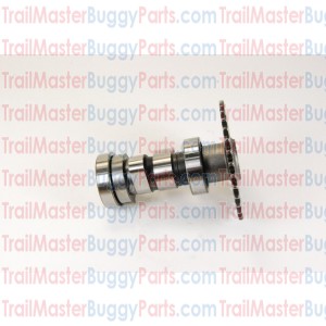 TrailMaster 150 Camshaft Comp. Side 2