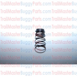 TrailMaster 150 Oil Filtering Screen Spring