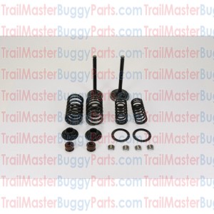 TrailMaster 150 Valves Set