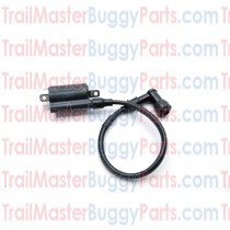 TrailMaster 300 Ignition Coil Comp. Side 2