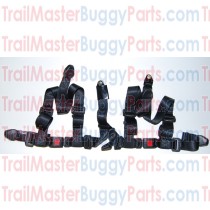 TrailMaster 150 / 300 Seat Belt / Safety Belt