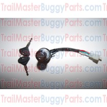 TrailMaster 150 / 300 Ignition Switch 3 wires