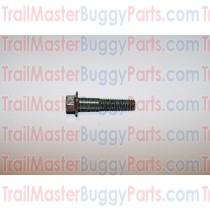 TrailMaster 150 / 300 Socket Bolt M8X1.25X40