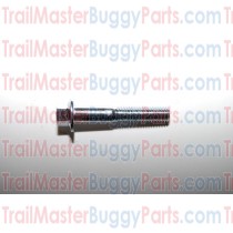 TrailMaster 150 / 300 Bolt Washer M8 X 1.25 X 45