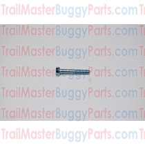 TrailMaster 150 Bolt M6 x 40