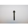 TrailMaster 150 / 300 Socket Bolt M8X1.25X55