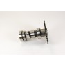 TrailMaster 150 Camshaft Comp. Side 2