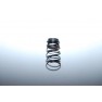 TrailMaster 150 Oil Filtering Screen Spring